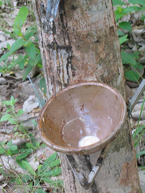 Vietnam 280