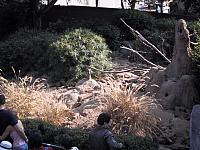 IMG 2776