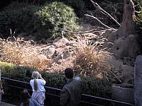 IMG 2777