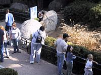 IMG 2779