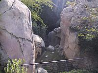 IMG 2781