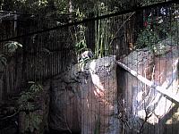 IMG 2782