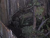 IMG 2783