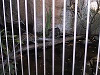 IMG 2784