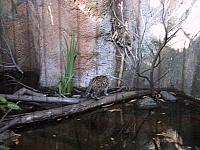 IMG 2785