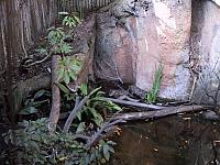 IMG 2789
