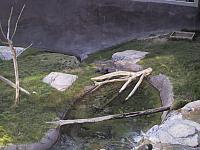 IMG 2792