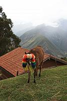 IMG 2433