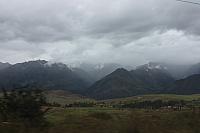 IMG 2445