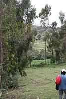 IMG 2505