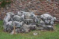 IMG 2517
