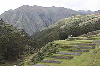 IMG 2521