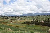 IMG 2530