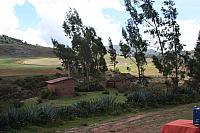 IMG 2535