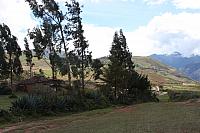 IMG 2536