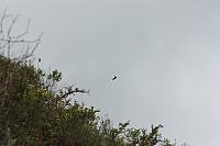 IMG 2552