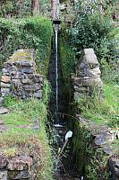 IMG 2630