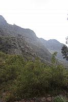 IMG 2645