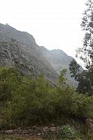 IMG 2646