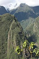 IMG 2682