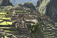 IMG 2703