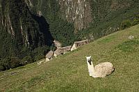 IMG 2736