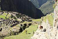 IMG 2751