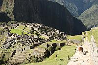 IMG 2752
