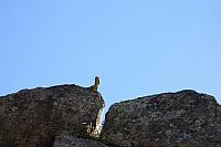 IMG 2780