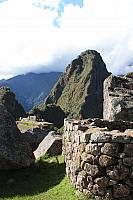 IMG 2782