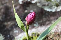 IMG 2871