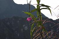 IMG 2873
