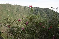 IMG 2877