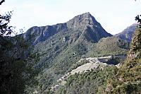 IMG 2878
