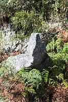 IMG 2916