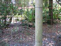 IMG 2426