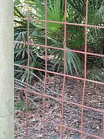 IMG 2427