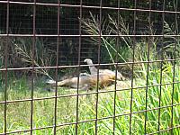 IMG 2431