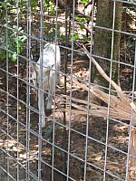IMG 2440