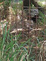 IMG 2441