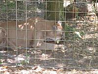 IMG 2445