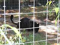 IMG 2459