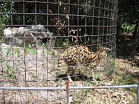 IMG 2460