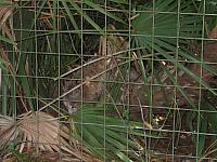 IMG 2475