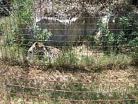 IMG 2477
