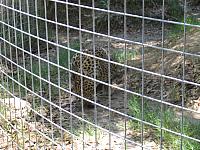 IMG 2478