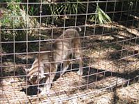IMG 2484