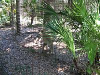 IMG 2485