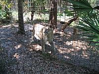 IMG 2486