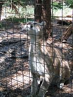 IMG 2487